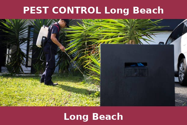 PEST CONTROL Long Beach